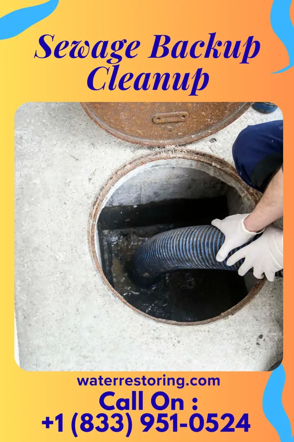 Sewage Backup Cleanup in Culloden, GA